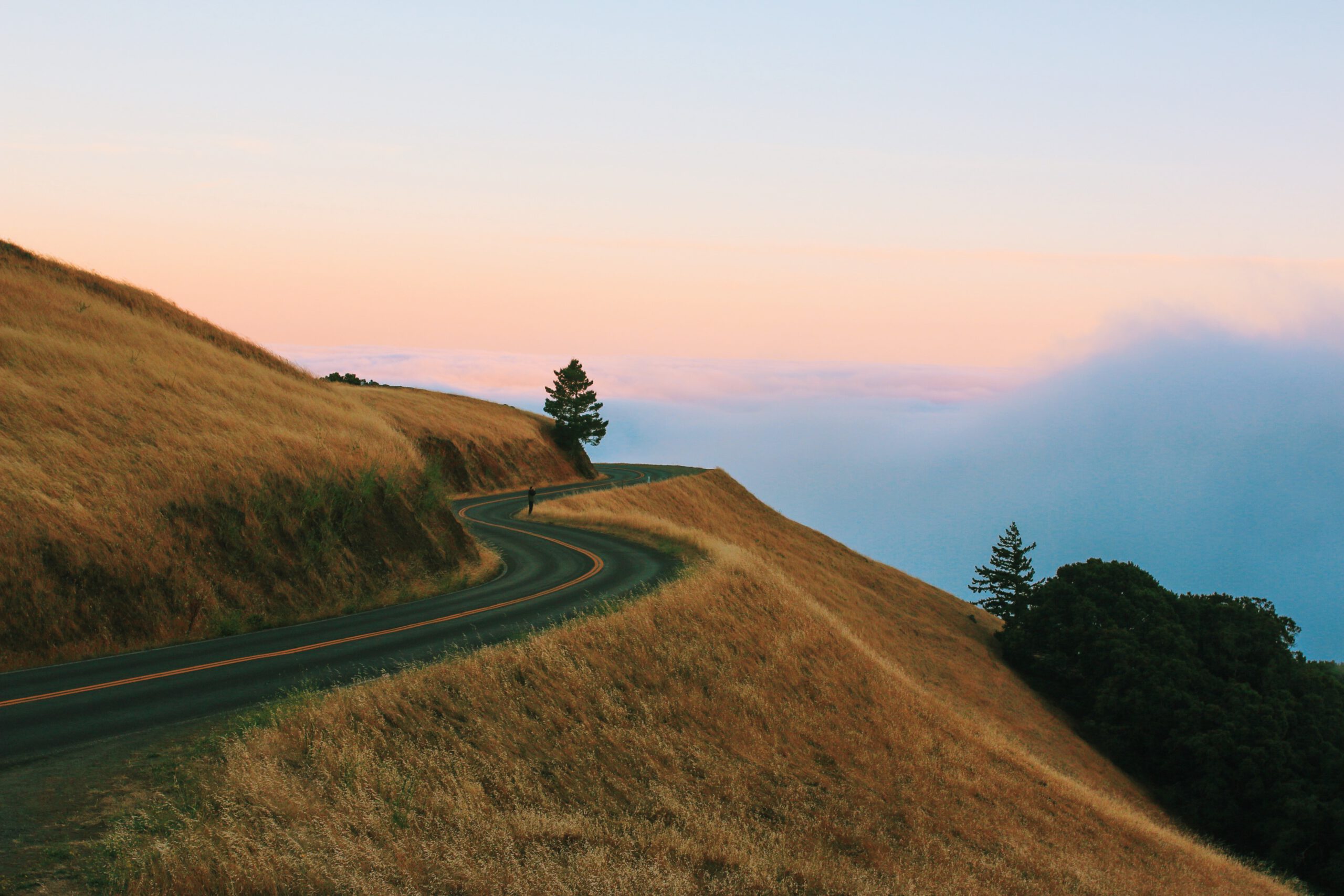 The Path to Innovation