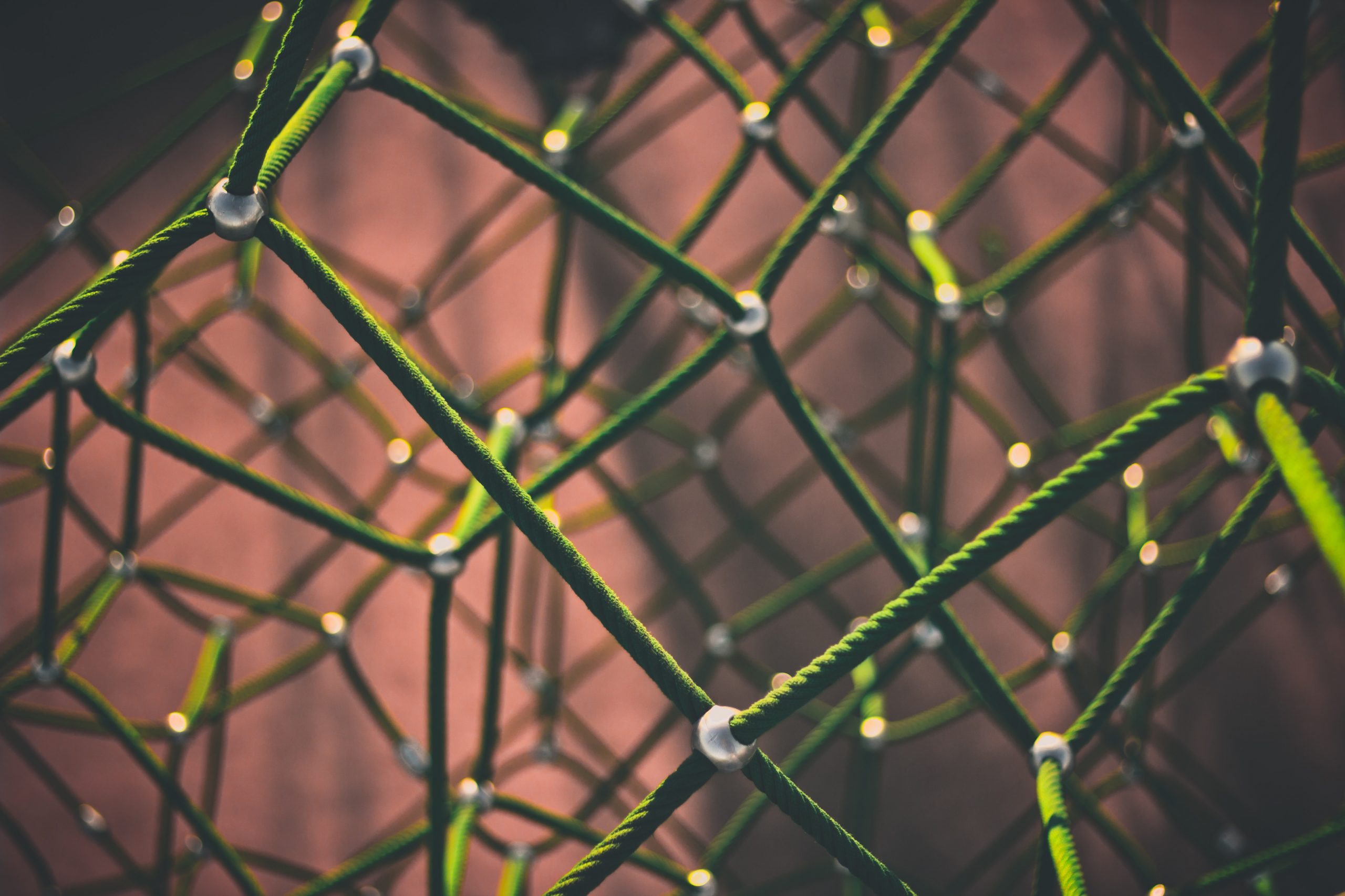 Being Human-Centered to Fortify Your Business