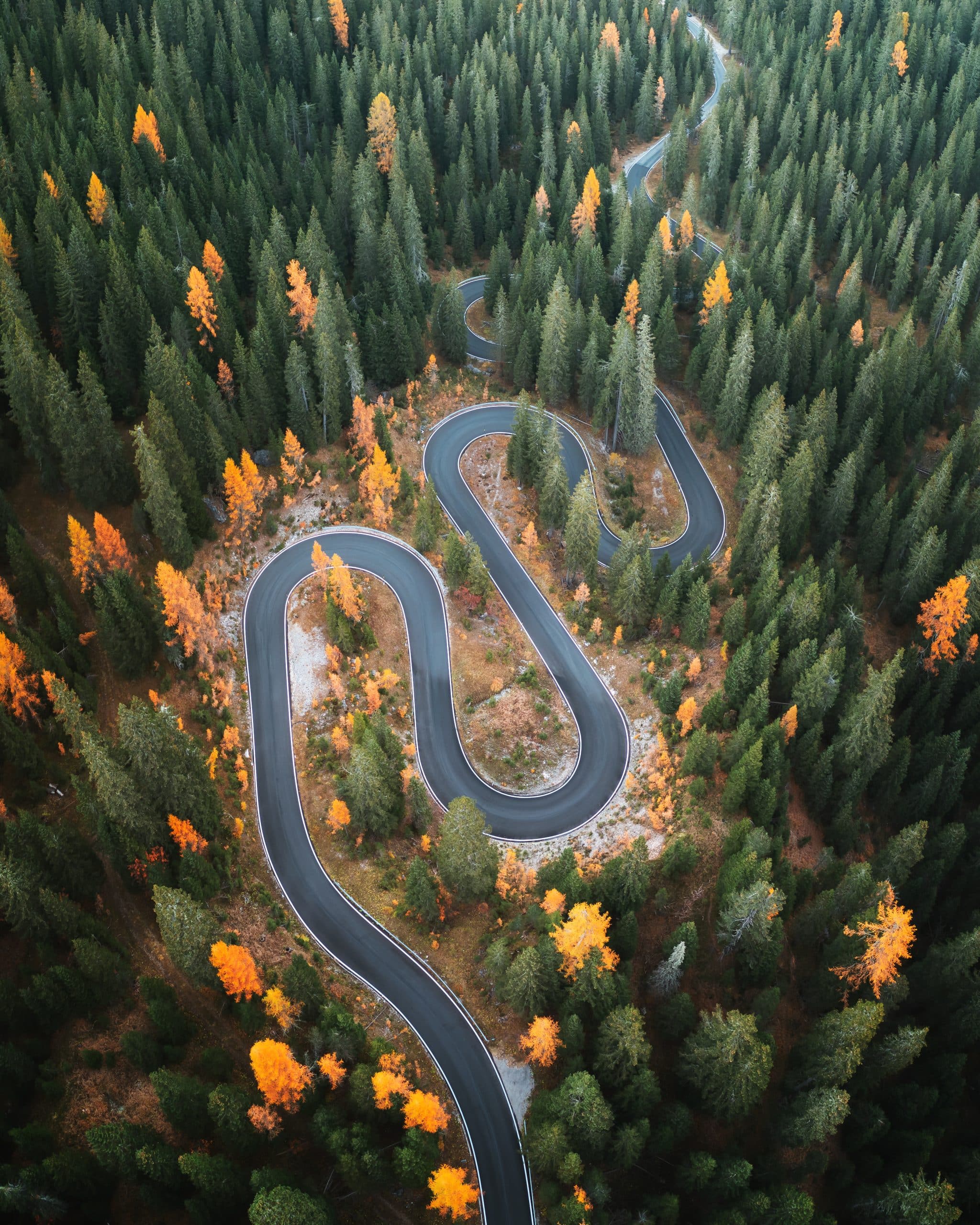 A Roadmap for Omnichannel Transformation Using Near Term Strategy