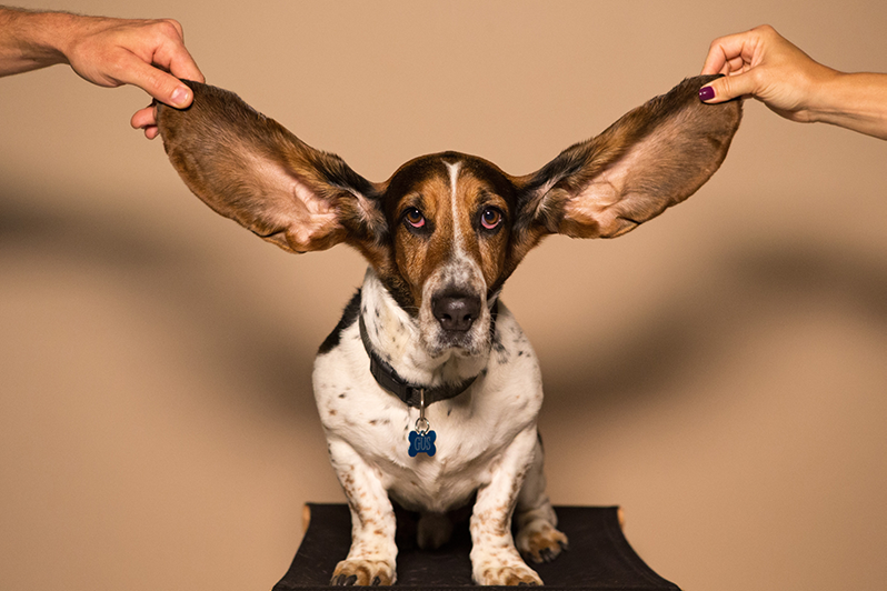 Active Listening & Customer Research