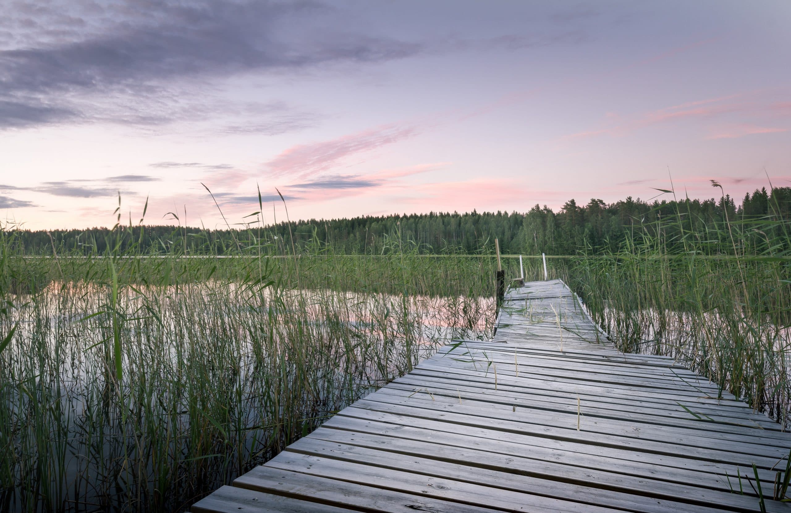 Midsummer Recap
